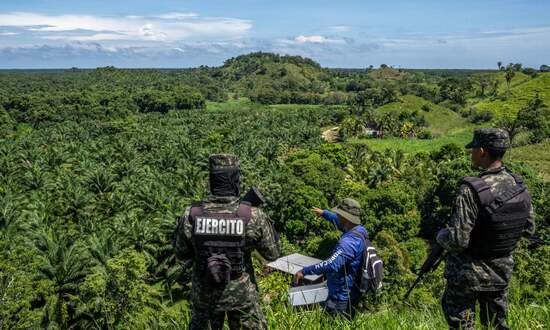 Honduras-AccompaniedbyarmedtroopsNelbinBustamanteoftheNGOProlansatepointsoutalargeplantationofoilpalmwhichhasexpandedillegallyintheBlancaJeannetteKawasnationalparkinnorthernHonduras5498.jpg