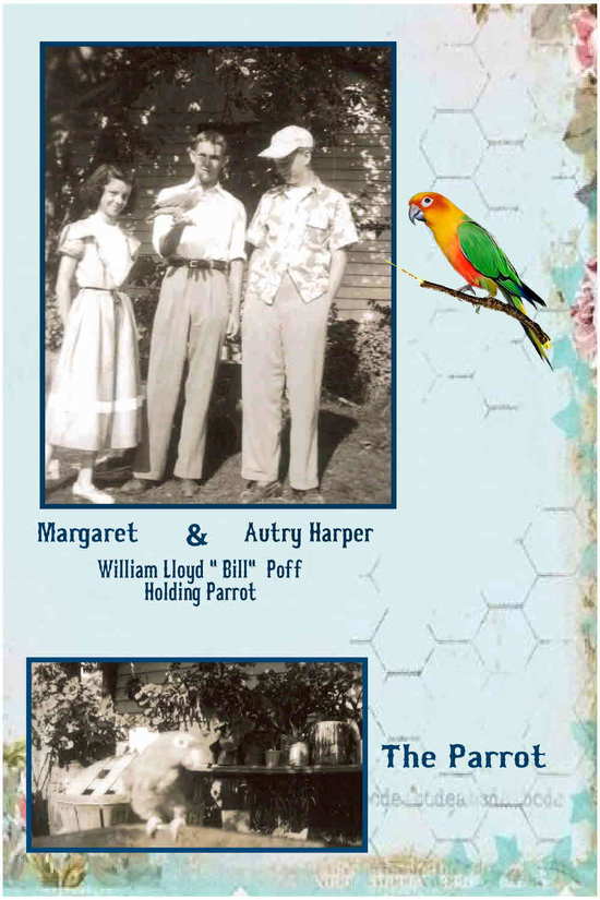 1951theparrot.jpg