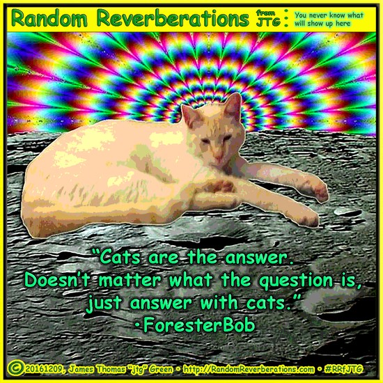 20161209-Comic-RRfJTG-Cats_are_the_Answer-Anubis_Maukat-aa-1080x1080.jpg