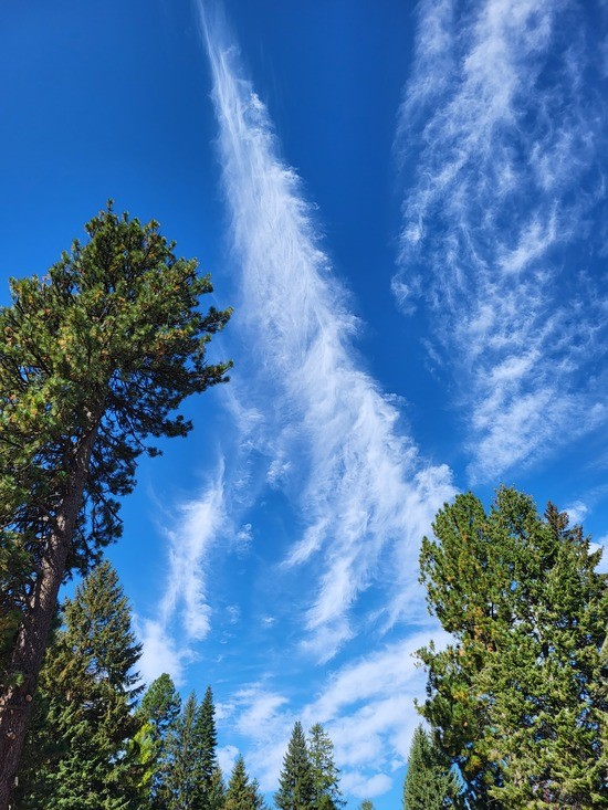 Spires: Trees and clouds