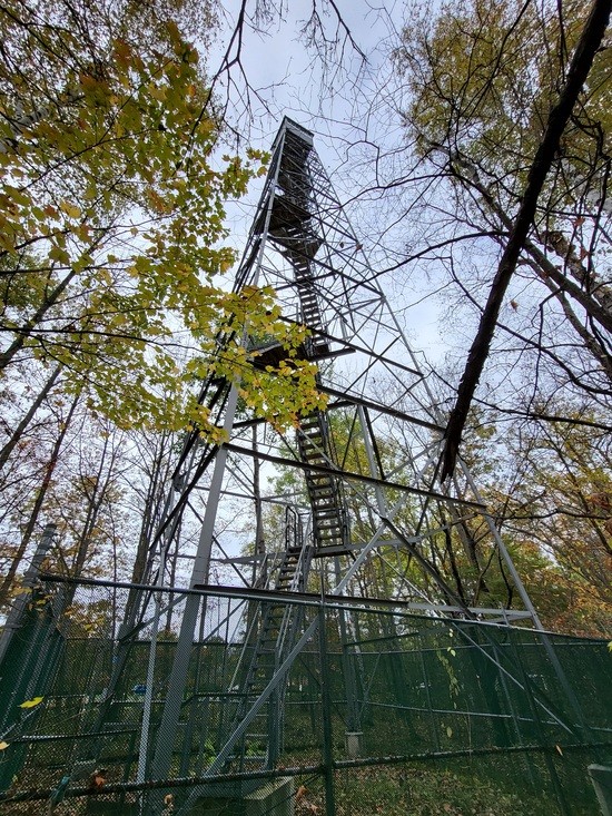 Fire tower