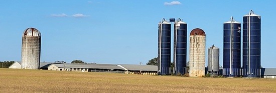 Grain silos