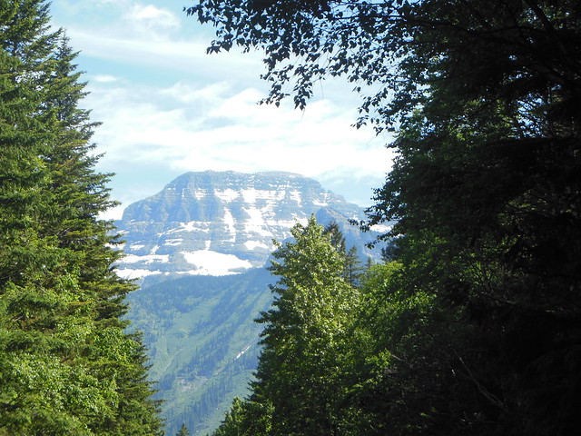 Going to the Sun Road 012