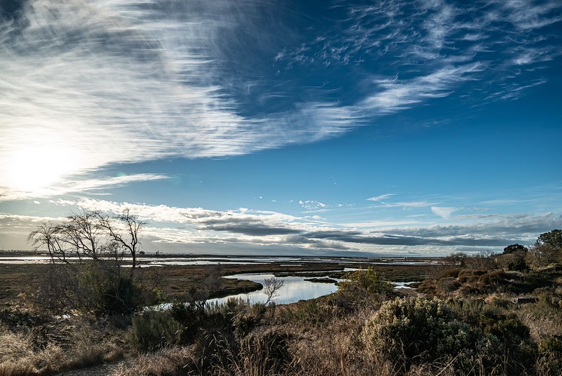 Don Edwards San Francisco Bay National Wildlife Refuge - Alviso