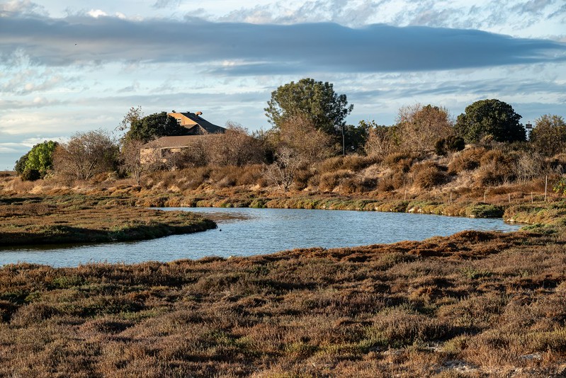 Don Edwards San Francisco Bay National Wildlife Refuge - Alviso