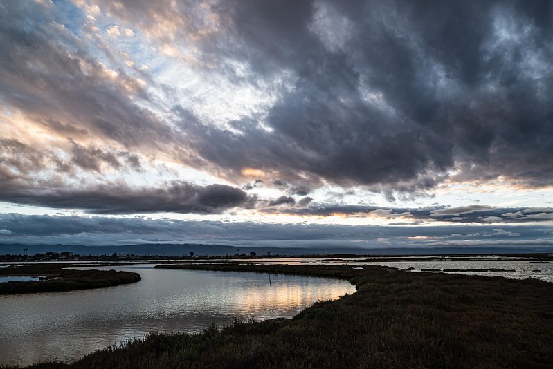 Don Edwards San Francisco Bay National Wildlife Refuge - Alviso