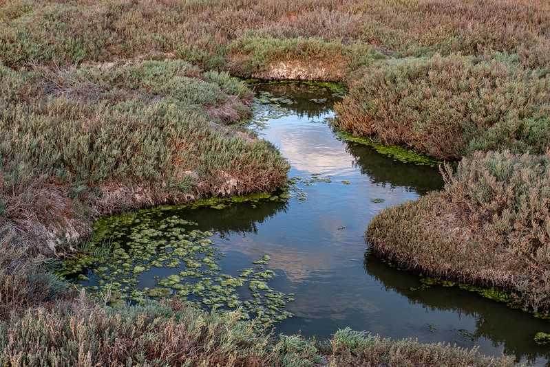 Don Edwards San Francisco Bay National Wildlife Refuge - Alviso