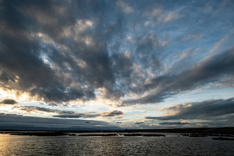 Don Edwards San Francisco Bay National Wildlife Refuge - Alviso