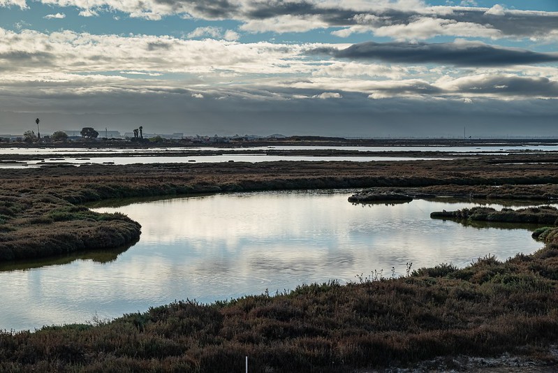 Don Edwards San Francisco Bay National Wildlife Refuge - Alviso