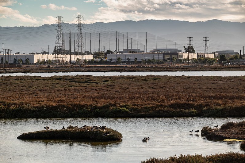 Don Edwards San Francisco Bay National Wildlife Refuge - Alviso