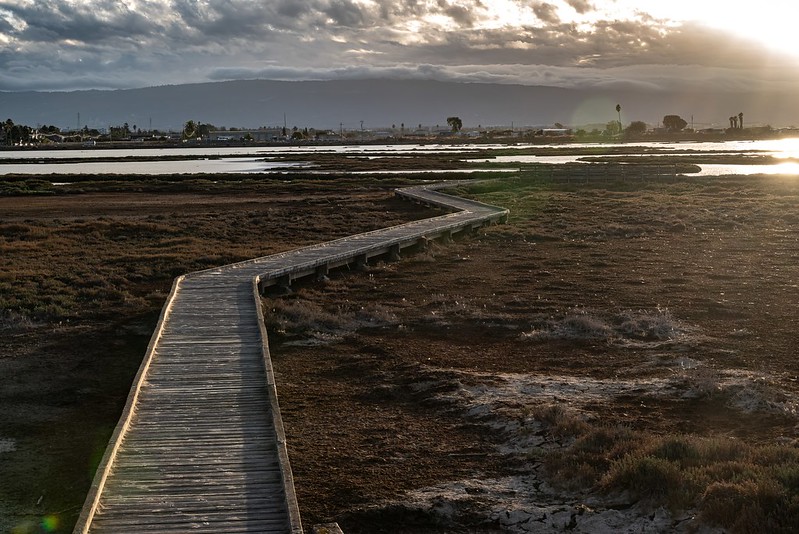 Don Edwards San Francisco Bay National Wildlife Refuge - Alviso