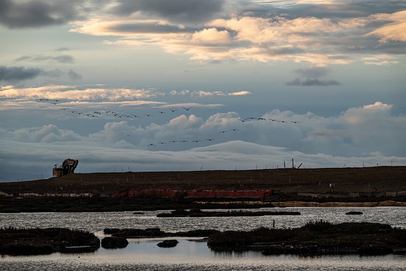 Don Edwards San Francisco Bay National Wildlife Refuge - Alviso