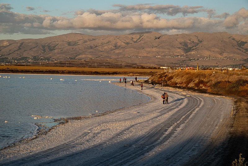 Alviso Marina County Park