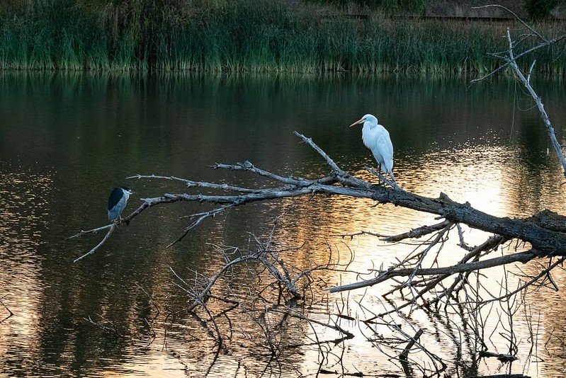 Ed R. Levin County Park