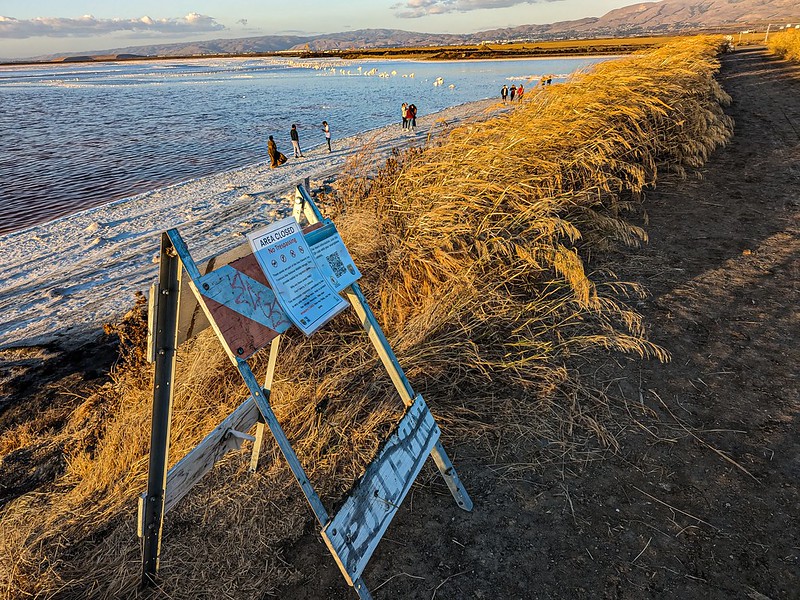 Alviso Marina County Park