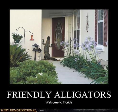 alligatorfriendlyFL.jpg