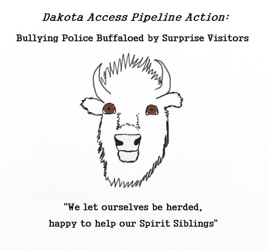 Bison_DAPL_protest.jpg