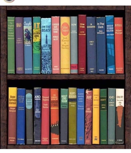 Quarantine bookcase ideas.