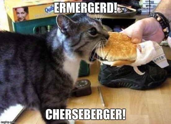 Cateatingcheeseburge.jpg