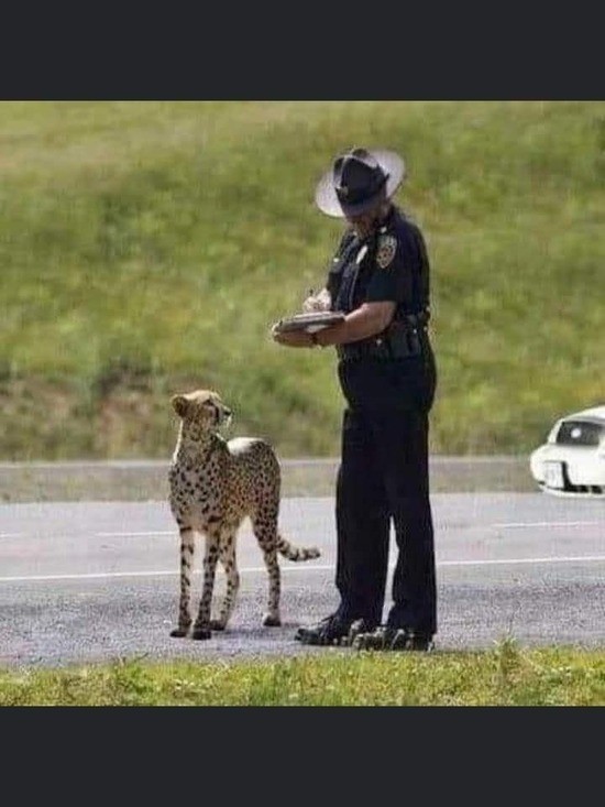 cheetahpoliceofficer.jpg