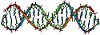 Small-size DNA molecule - page divider for The Inoculation Project