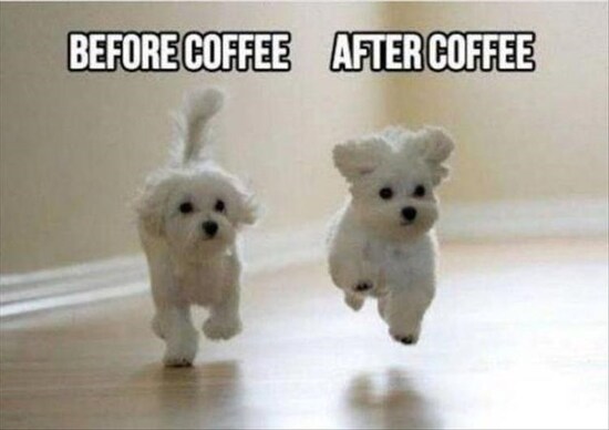 dog-before-coffee-after-coffee.jpg