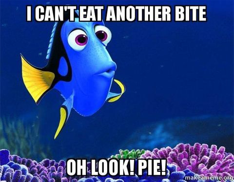 dory-pie-thanksgiving-memes-1541100242.jpg