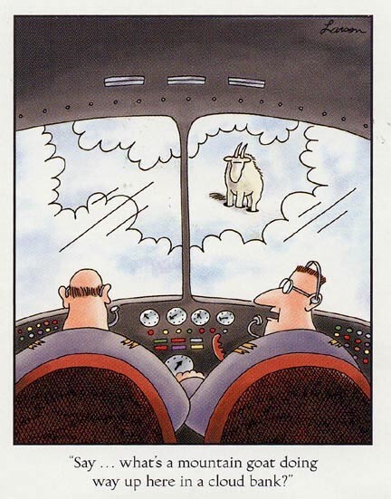 FarSideairlinergoats.jpg