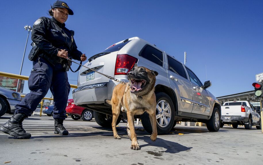 A US Customs and Border Protection canine team checks automobiles for contraband in the line to enter the United States at the San Ysidro Port of Entry on October 2, 2019 in San Ysidro, California. - Fentanyl, a powerful painkiller approved by the US Food and Drug Administration for a range of conditions, has been central to the American opioid crisis which began in the late 1990s. China was the first country to manufacture illegal fentanyl for the US market, but the problem surged when trafficking through Mexico began around 2005, according to Donovan. (Photo by SANDY HUFFAKER / AFP) / The erroneous mention[s] appearing in the metadata of this photo by SANDY HUFFAKER has been modified in AFP systems in the following manner: [A US Customs and Border Protection canine team] instead of [An Immigration and Customs Enforcement (ICE)]. Please immediately remove the erroneous mention[s] from all your online services and delete it (them) from your servers. If you have been authorized by AFP to distribute it (them) to third parties, please ensure that the same actions are carried out by them. Failure to promptly comply with these instructions will entail liability on your part for any continued or post notification usage. Therefore we thank you very much for all your attention and prompt action. We are sorry for the inconvenience this notification may cause and remain at your disposal for any further information you may require. (Photo by SANDY HUFFAKER/AFP via Getty Images)