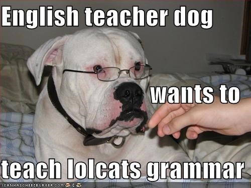 Grammar-police-bulldog-teacher-cheezburger.jpg