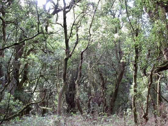 El Hierro