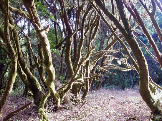 El Hierro