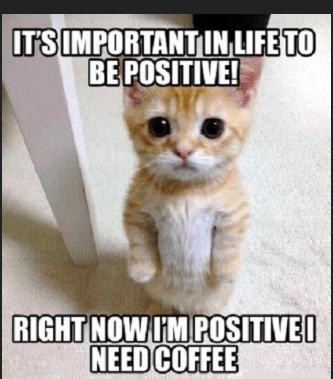 Kitten speaking: It's important in life to be positive! Right now I'm positive I need coffee