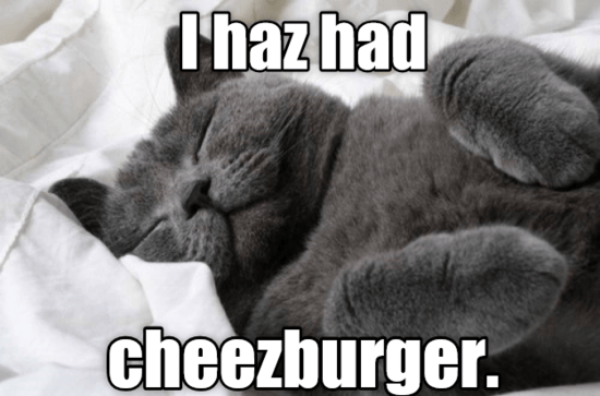 cat-meme-cat-chazhad-cheezburger.png