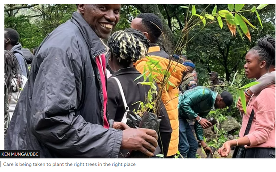 KenyanPresidentTreeplanting.png