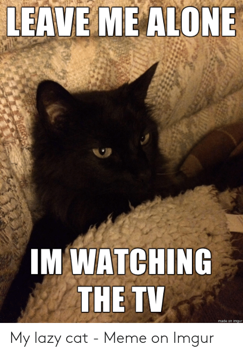 leave-me-alone-im-watching-the-tv-made-on-imgur-50209709.png