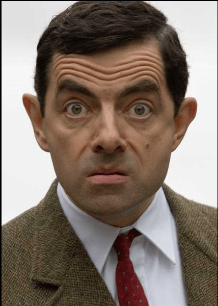 Rowan Atkinson in 2008