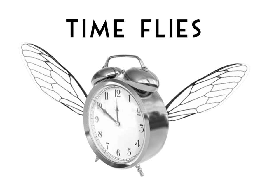 time-flies-11x17-copy-png-crop_orig.png